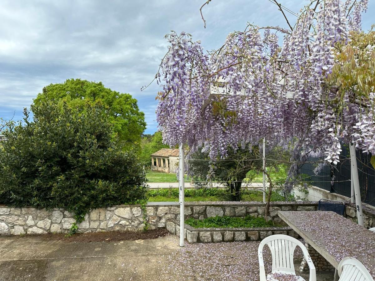 Vala Apartments Rovinj Buitenkant foto