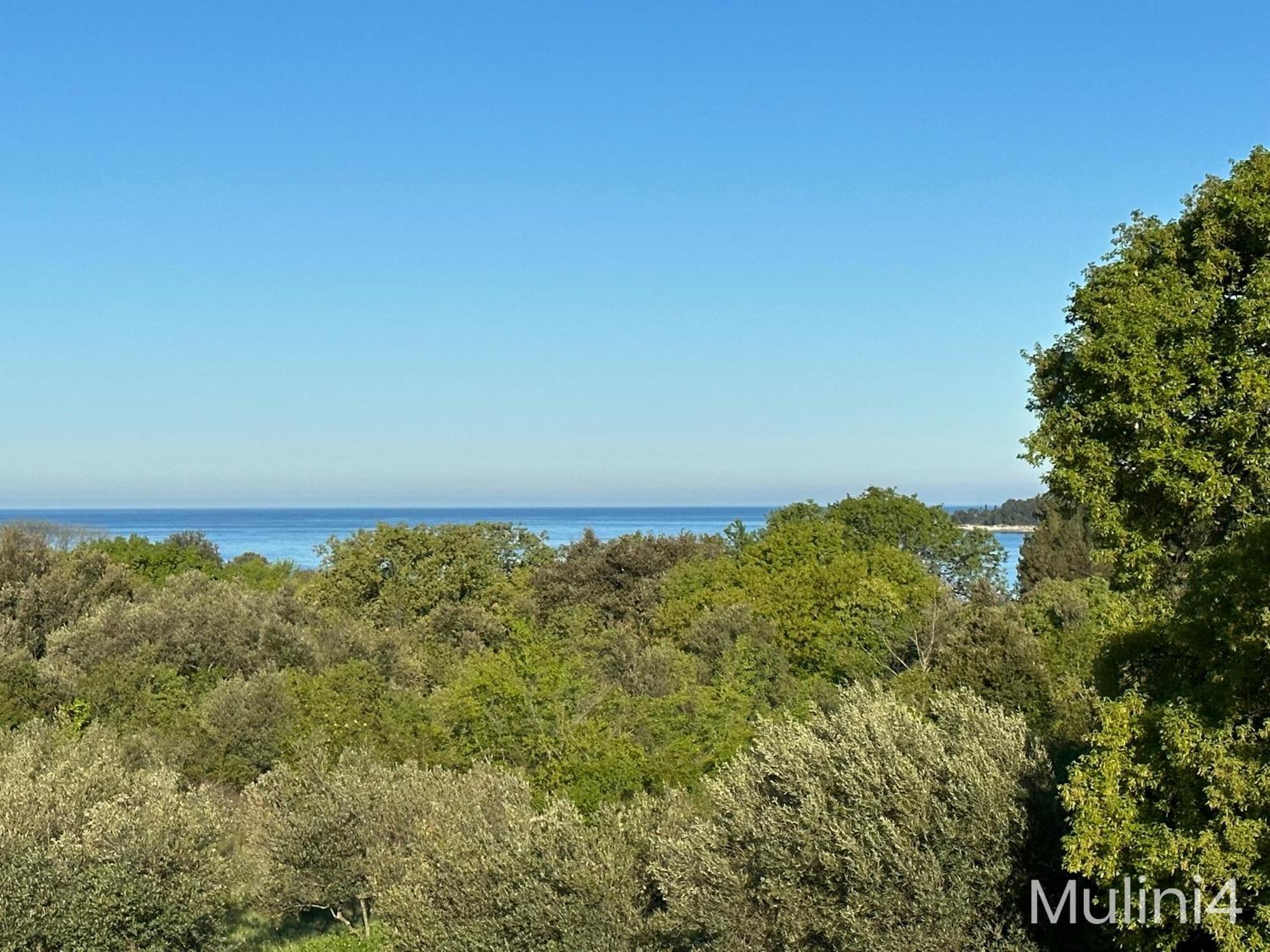 Vala Apartments Rovinj Buitenkant foto